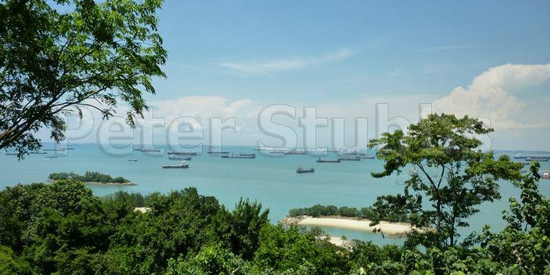 The view from the emplacement