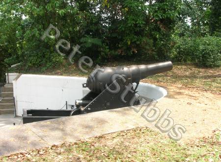 7 Inch RML Gun