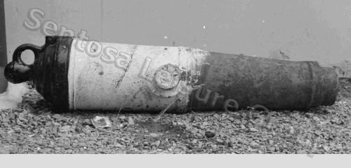 An Istana Gun