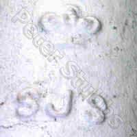 detail on a gun